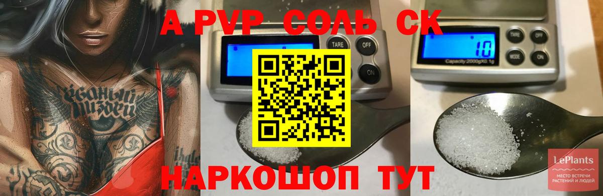 дарнет шоп  Alfa_PVP СК  Вход с VPN  Альфа ПВП СК  Железногорск  A PVP 
