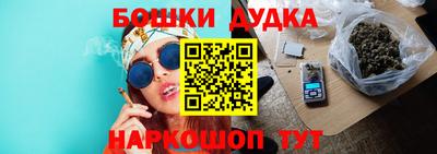 индика Балахна