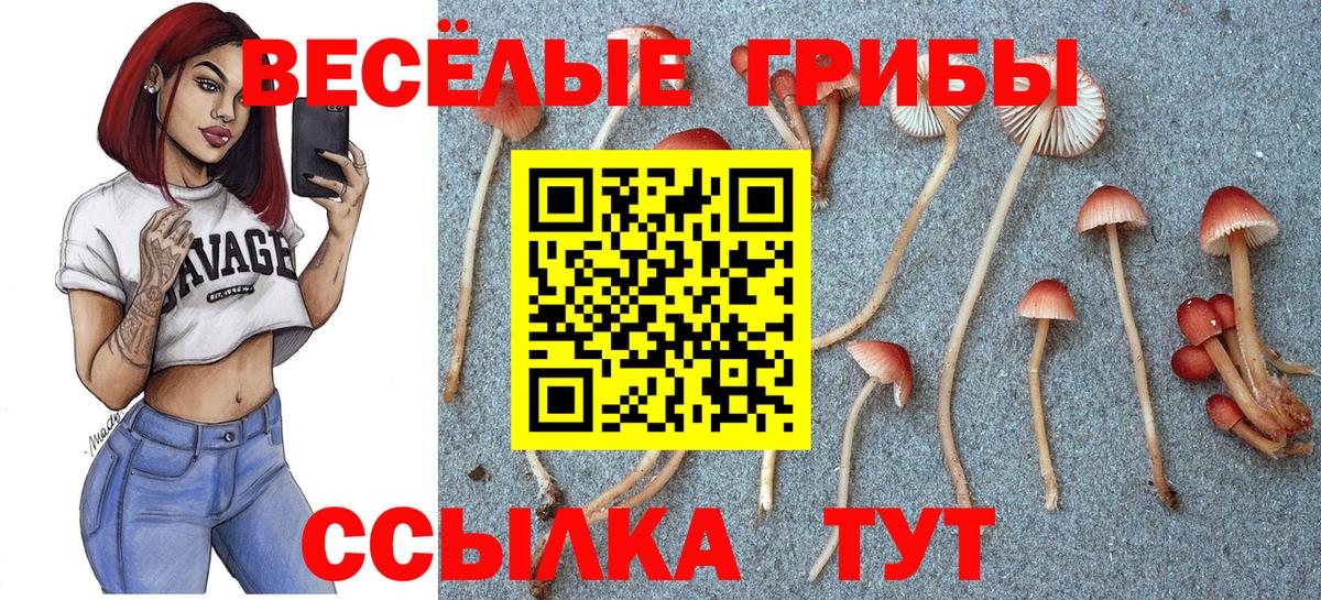 Псилоцибиновые грибы Psilocybine cubensis  Галлюциногенные грибы GOLDEN TEACHER  Вход с VPN  Железногорск 